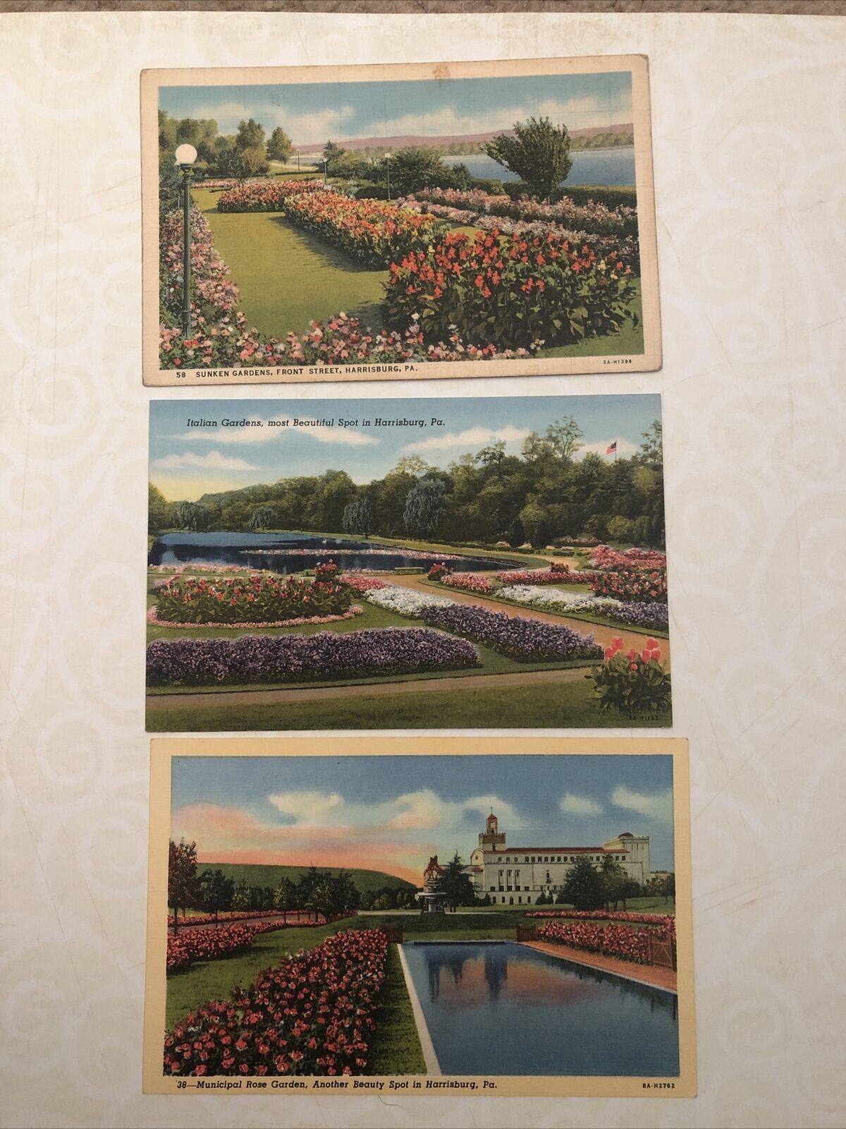 Set Of 3 Antique Postcards - Gardens In Harrisburg PA