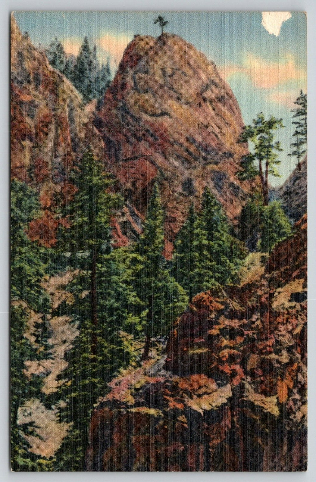 Postcard CO Colorado Springs The Lonesome Pine South Cheyenne Canon Linen A21