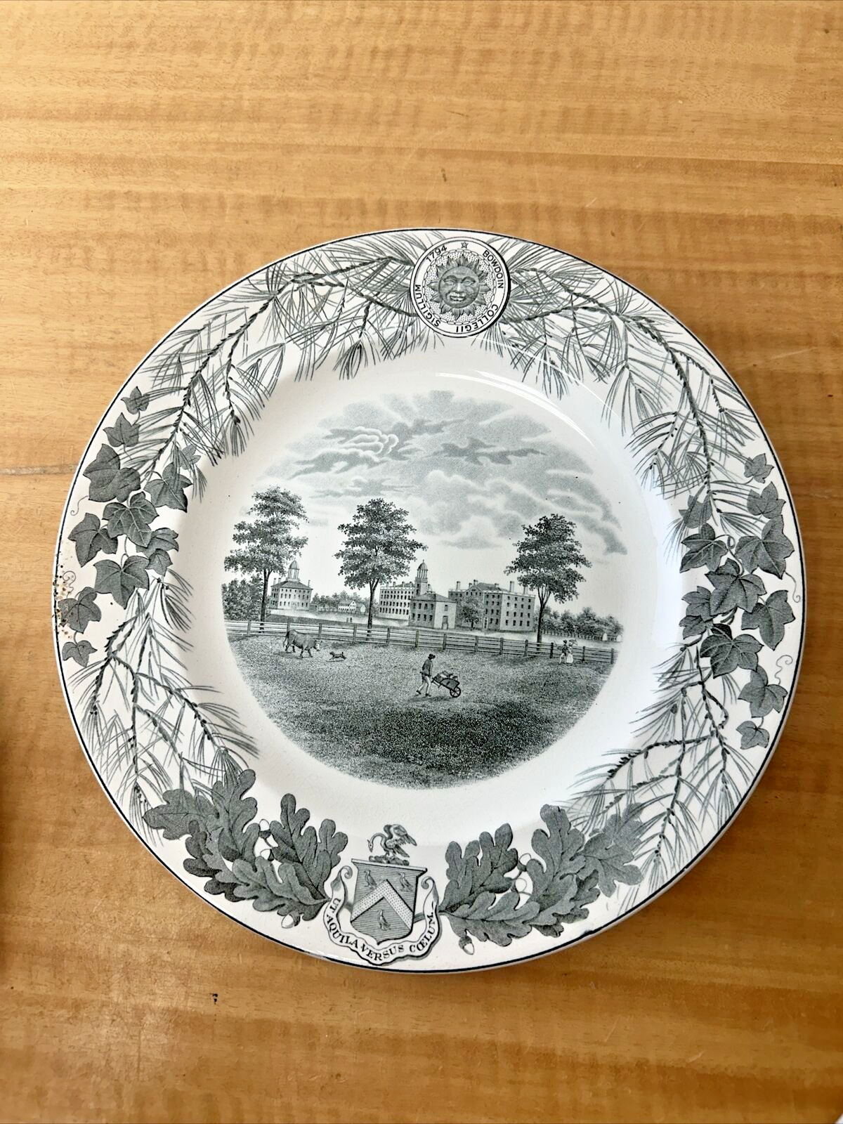 Wedgwood Bowdoin College 1931 - The Campus in 1822 - 10 Inch Dinner Plate