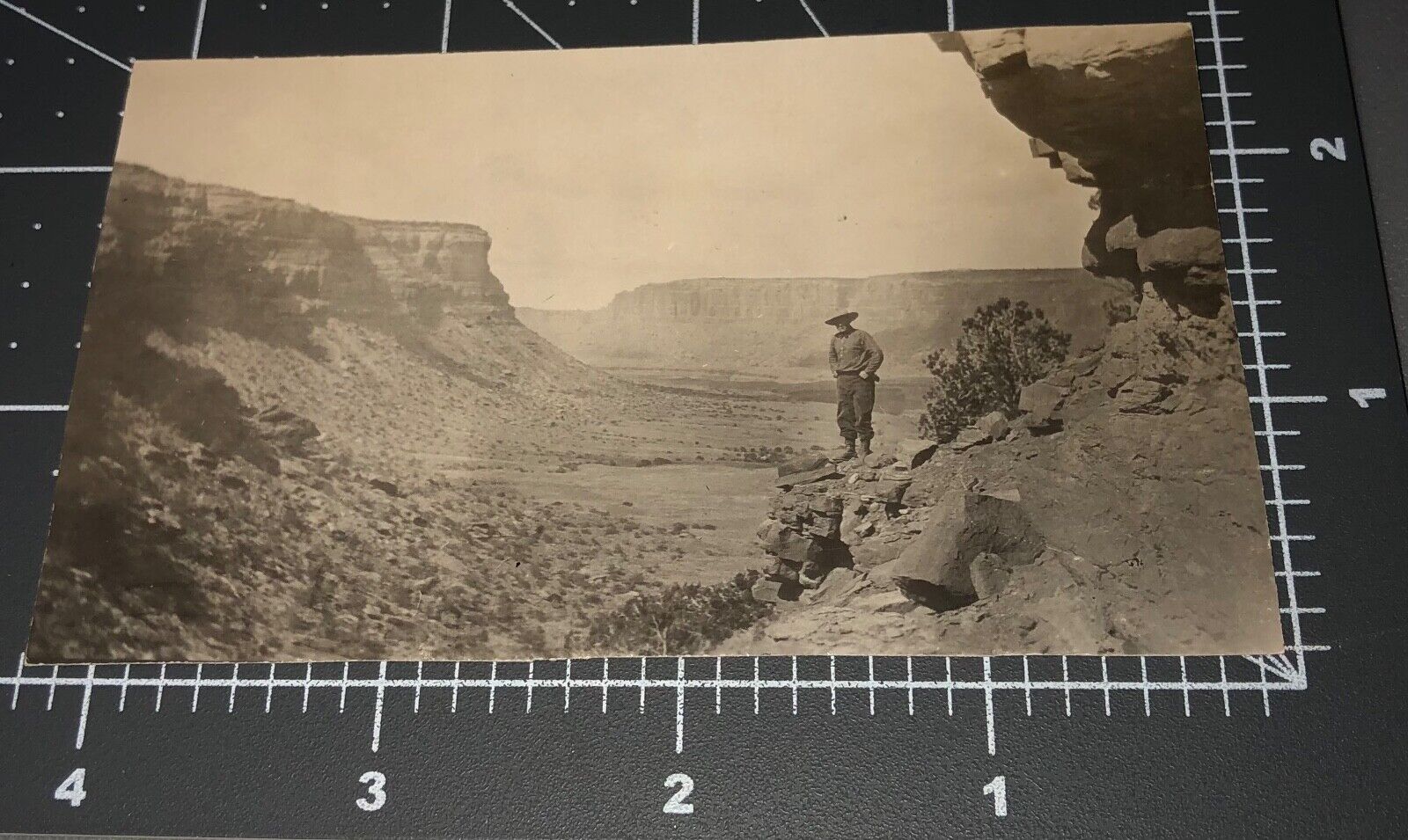 1910s Man Grand Canyon Western UT Utah Vintage PHOTO
