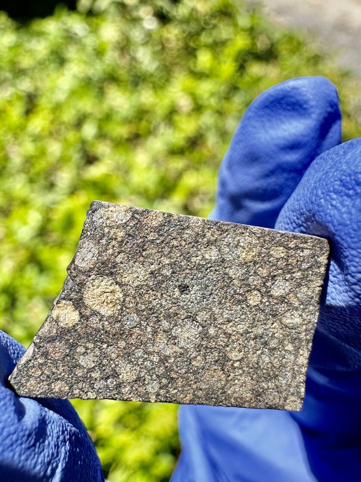 meteorite:NWA 14916- Weigh 1.769 Grams ✨