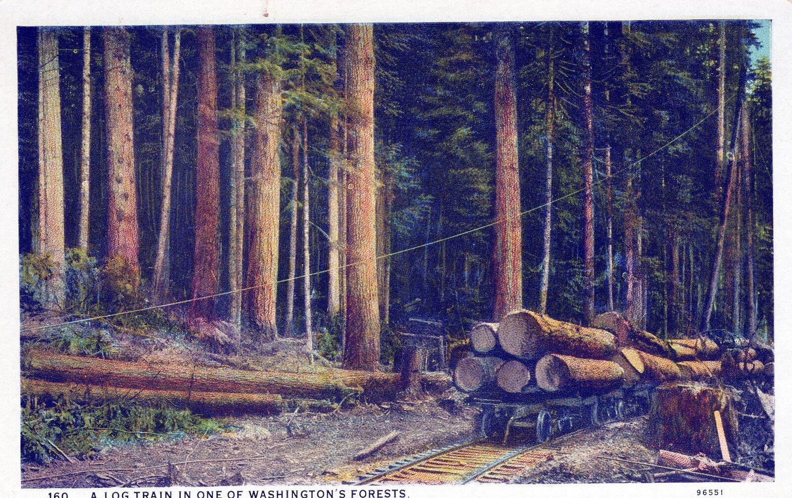 WASHINGTON WA - A Log Train In One Of Washington\'s Forests Postcard