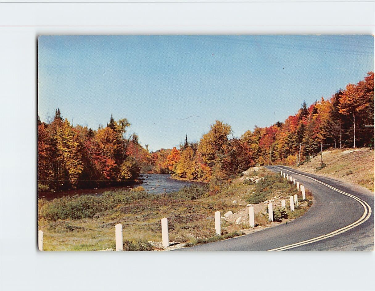 Postcard Autumn Nature Scene Greetings from Greenbay Wisconsin USA