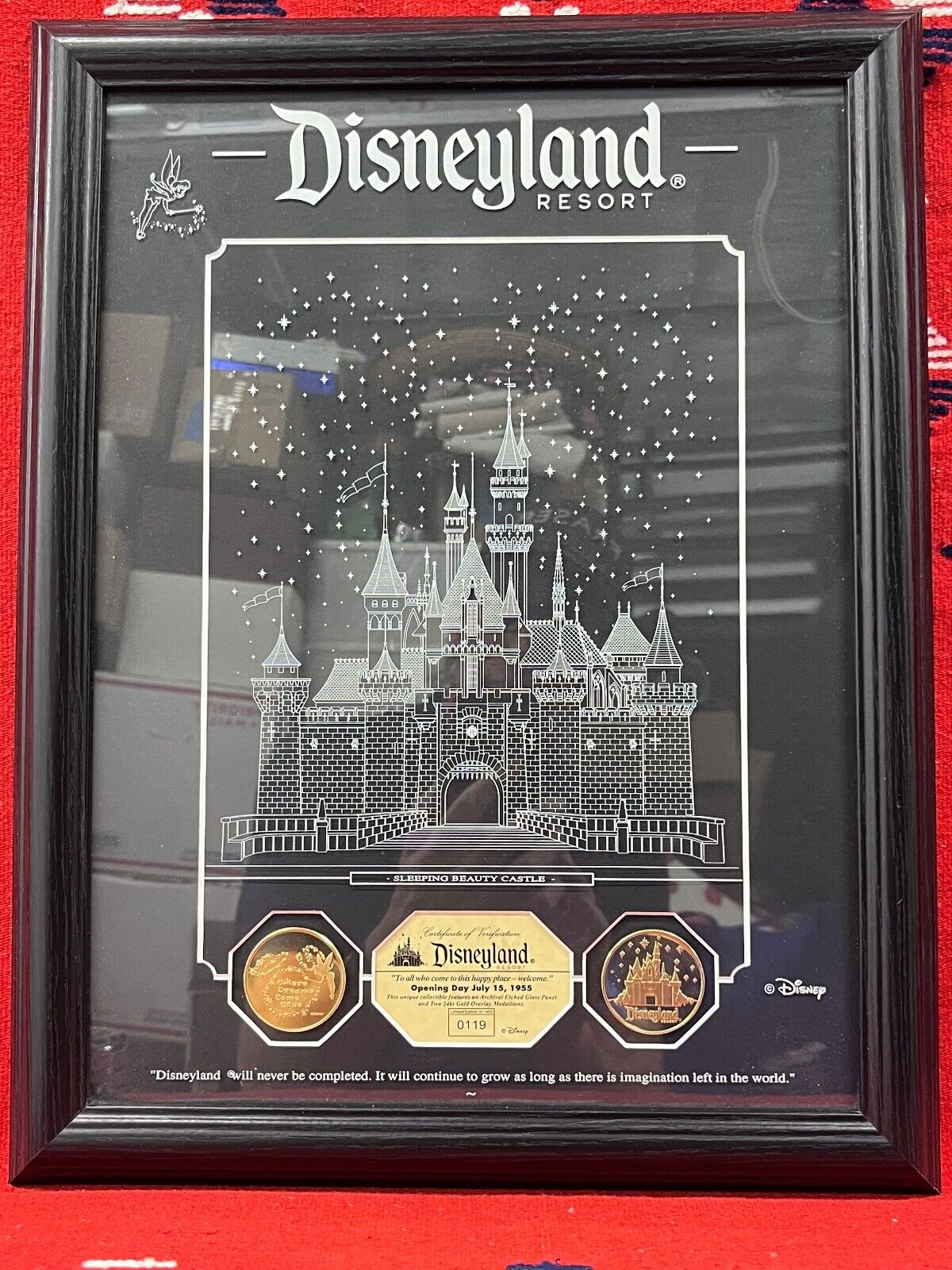Disneyland Resort Opening Day 1955 Etched Glass Panel Two 24kt Gold Overlay Coin