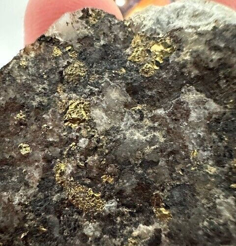 Prime Gold & Silver Quartz Ore - Valuable Mineral Sample