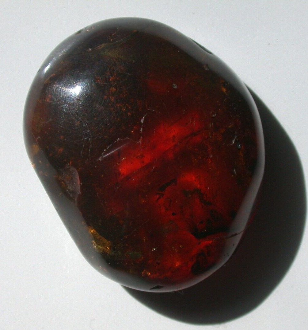 Beautiful Cherry RED Burmite Amber Fossil Gemstone from Dinosaur Age