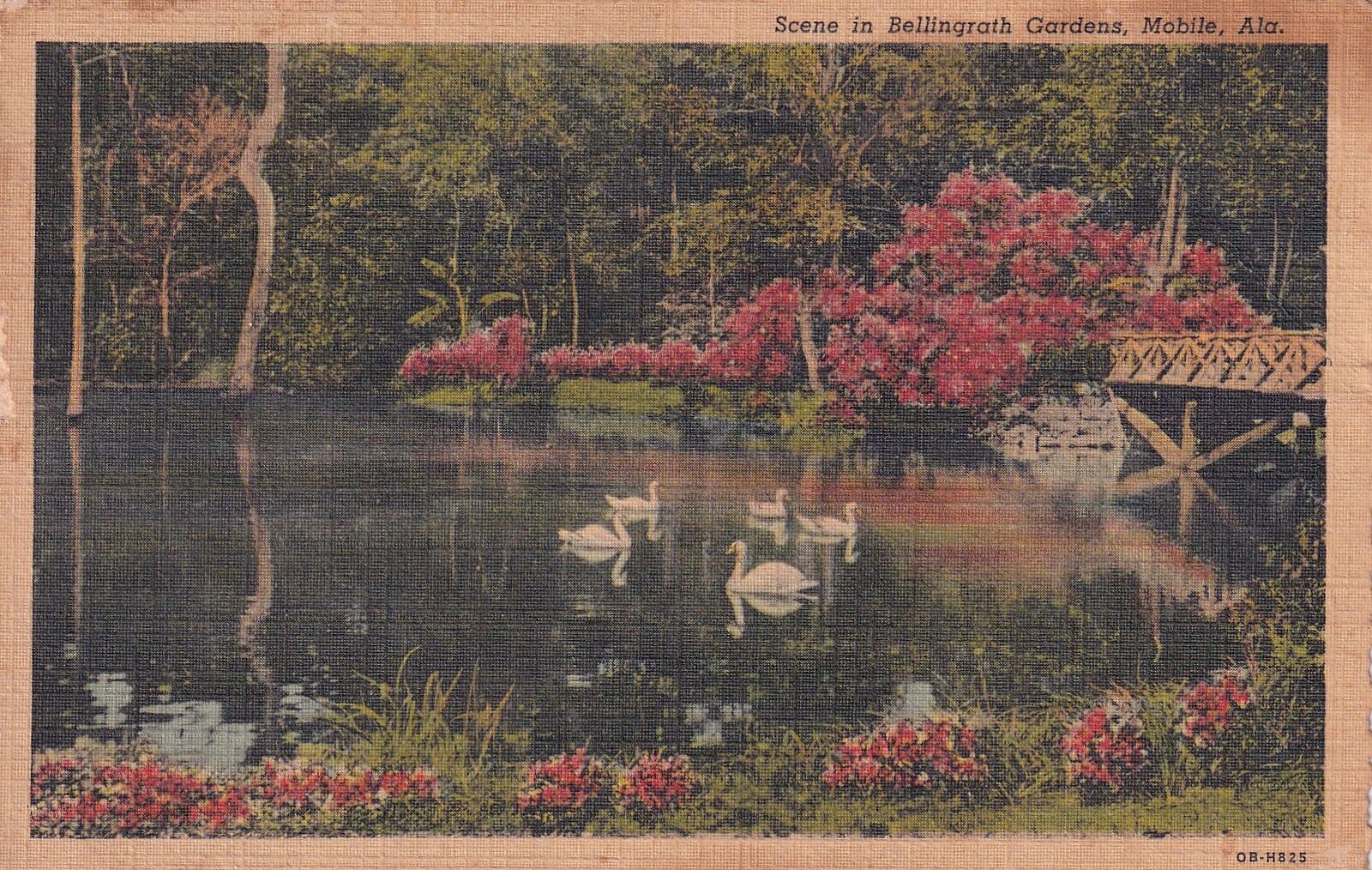 Mobile AL Alabama Bellingrath Gardens 1948 Postcard D56