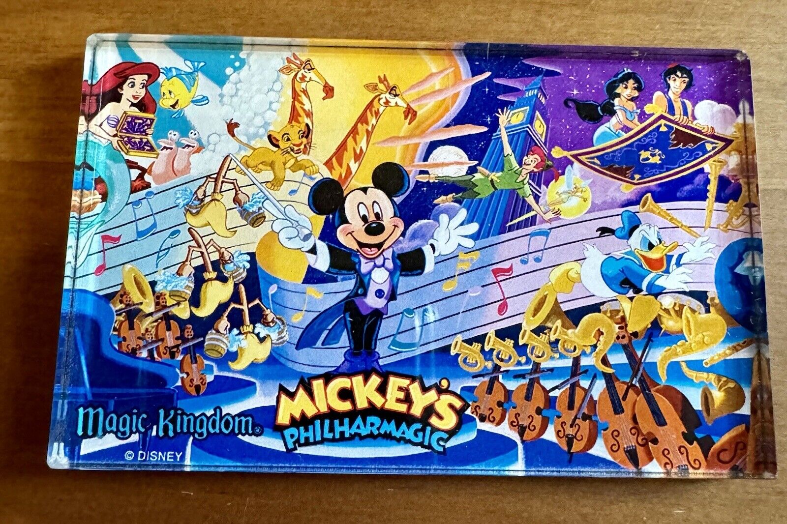 RARE VTG Disney World Mickey Mouse Magic Kingdom PhilharMagic Show Fridge Magnet
