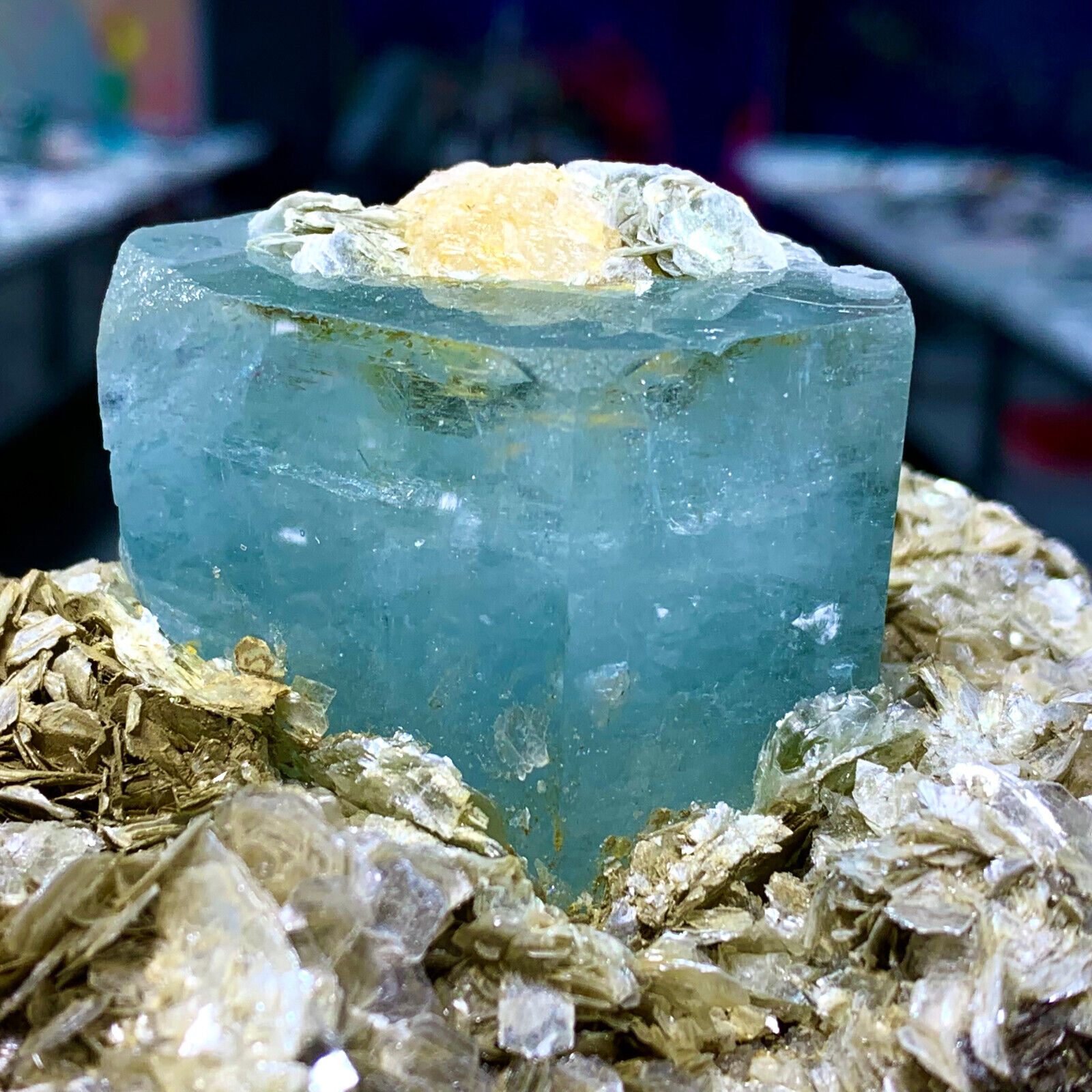 6.56LB Museum Top Grade Aquamarine mica Terminated Crystals Specimen