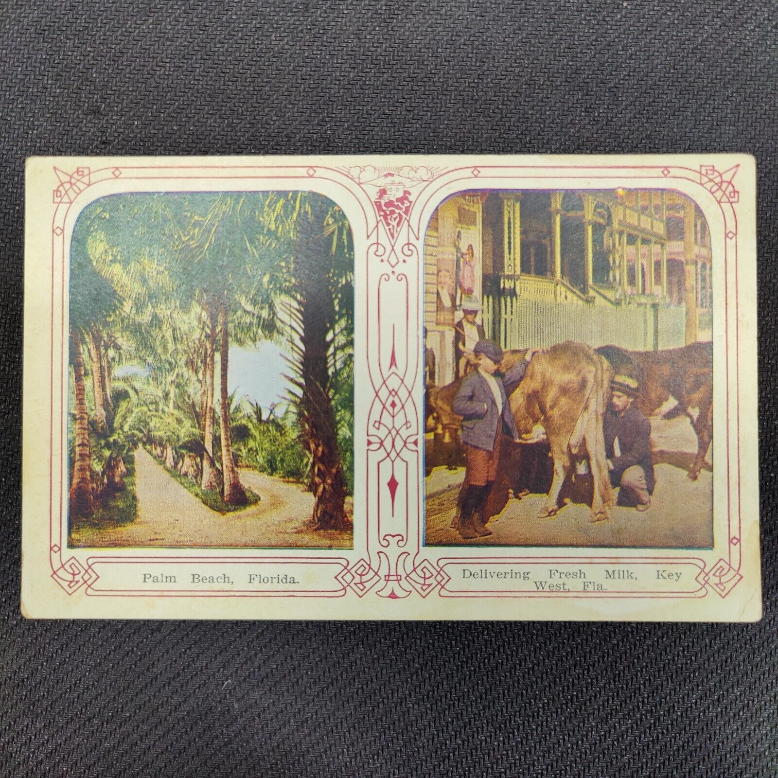 RARE Atq c. 1920s Postcard PALM BEACH FLORIDA + KEY WEST FLORIDA MILK DELIVERY