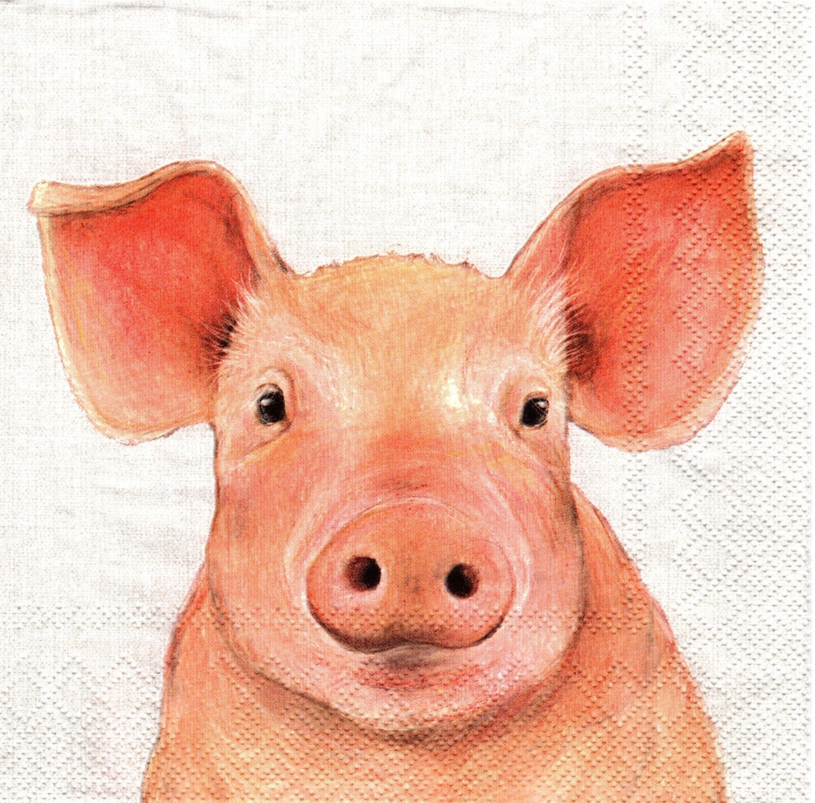 (2) Two Paper Lunch Napkins for Decoupage/Mixed Media - Single Pig farm animal