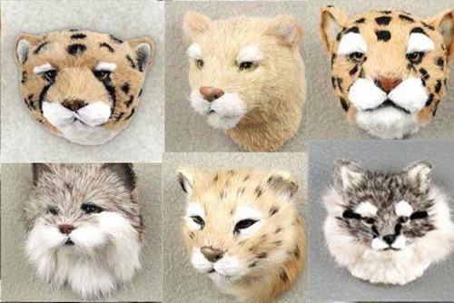(8) DIFFERENT FURRY CARNIVOUR ANIMAL MAGNETS LIKE LEOPARDS, COUGARS, FOXES, ETC.