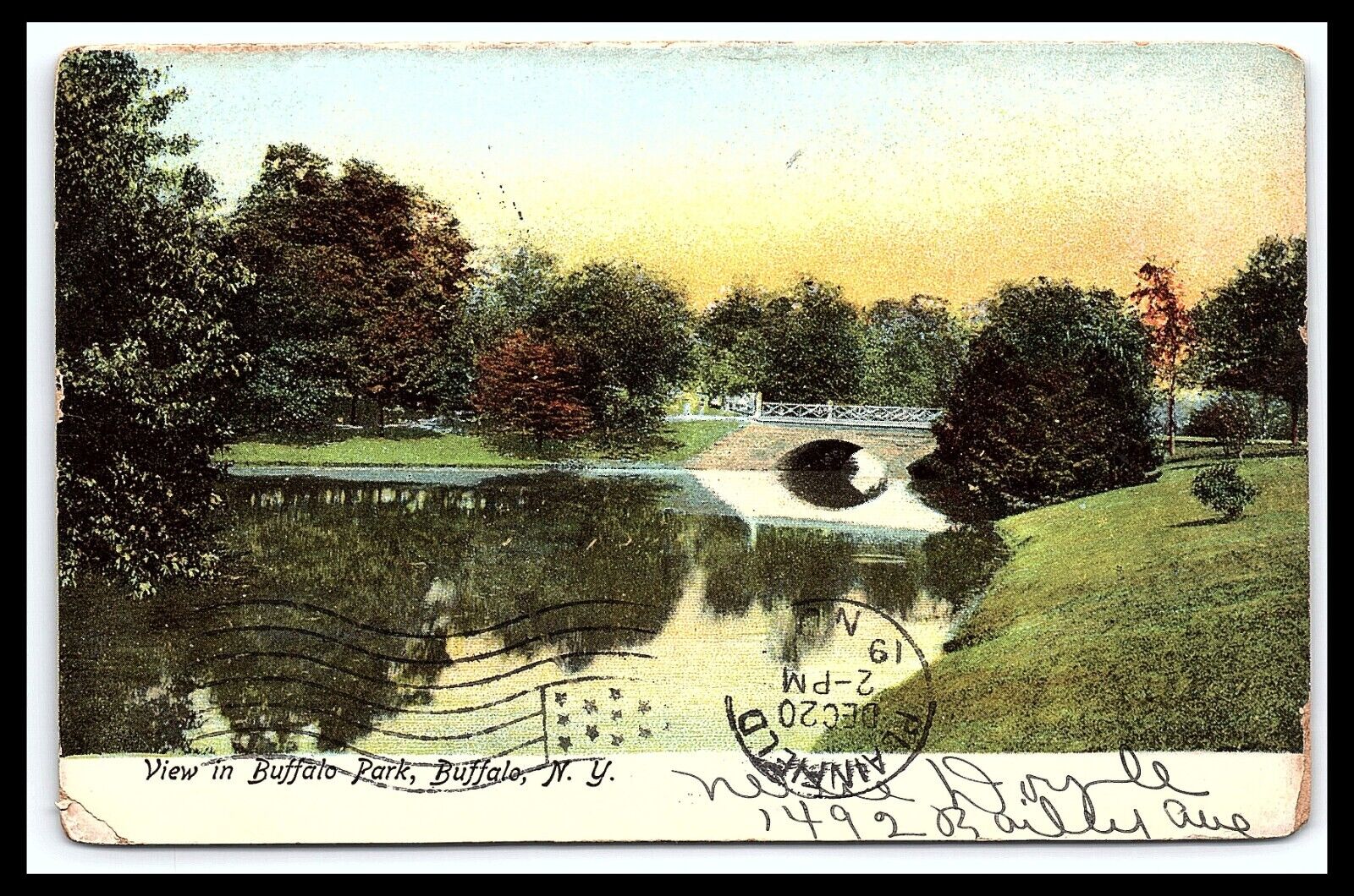 Buffalo NY Postcard Buffalo Park Lake Scene Bridge Posted c1905   pc225