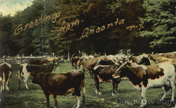 1910 Greetings From Oneonta,NY Otsego County New York Antique Postcard 1C stamp
