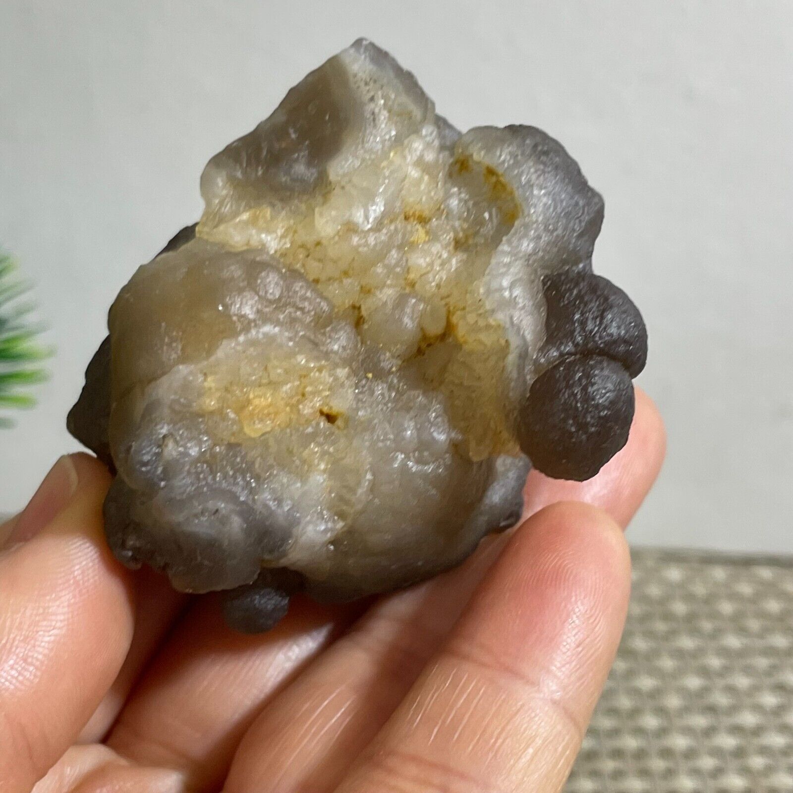 Bonsai Suiseki-Natural Gobi Agate Eyes Stone-Rare Stunning Viewing 96g ba1610