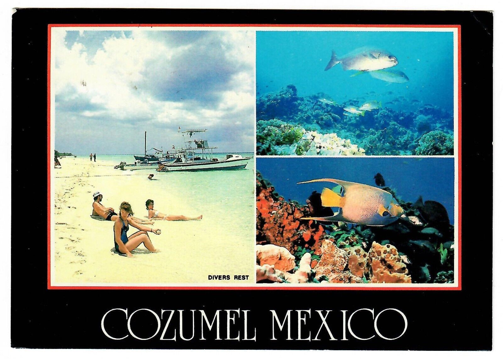 1987 Postcard Cozumel Mexico - Beach Divers Rest - Fish Travel Card Collection
