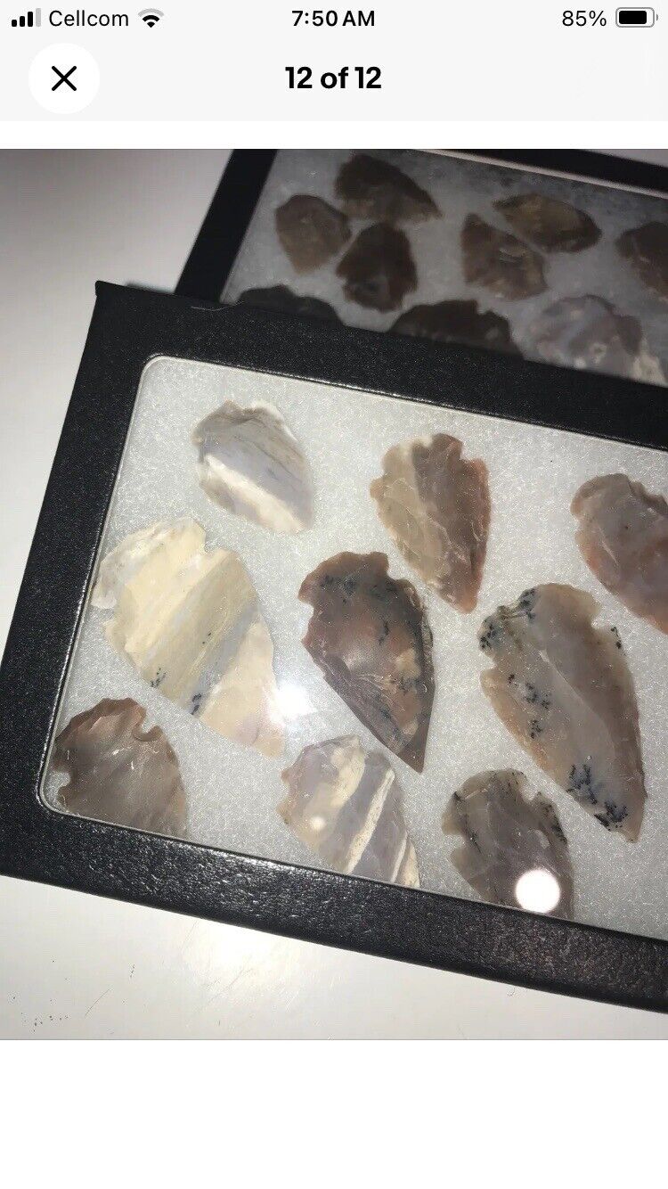 1x Native American Arrowhead  Points Set Of 9 Glass Case Spearheaded Artifacts
