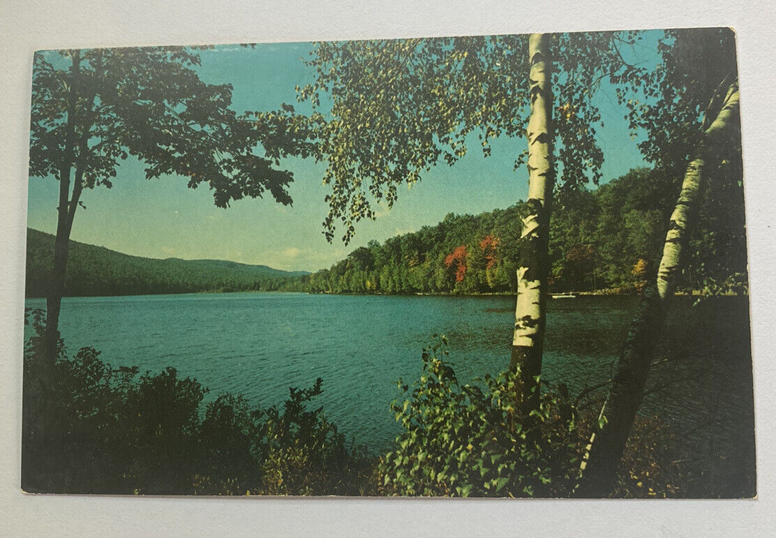 Vintage Postcard ~ A Maine Vacationland Lake Landscape ~ Topsfield ME