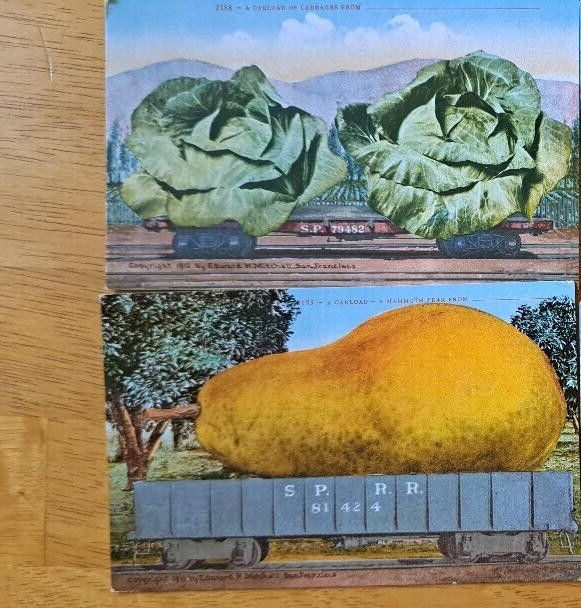LOT of 2   Train Carload of Exaggerated Size Fruit/Vegetable   Vintage Postcards