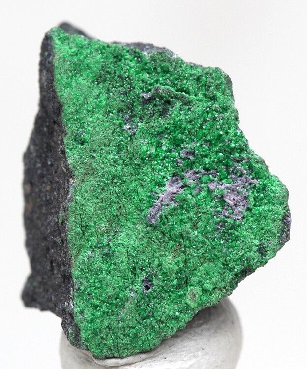 GLITTER GREEN Garnet DRUZY Crystal Uvarovite Cluster SPARKLING Mineral Specimen