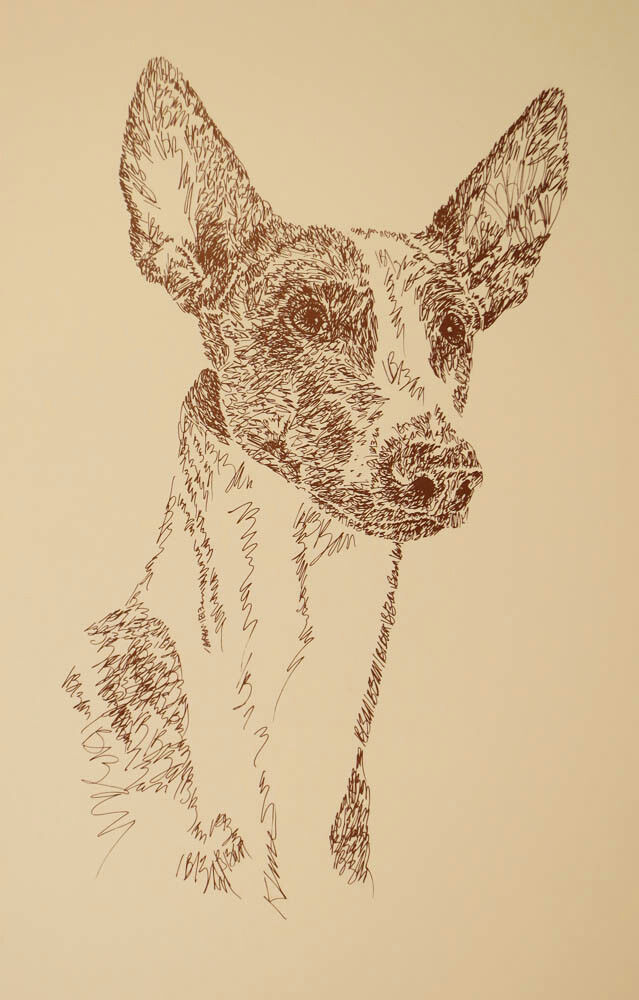 Ibizan Hound Dog Art Portrait Print #28 Kline adds dog name free. WORD DRAWING