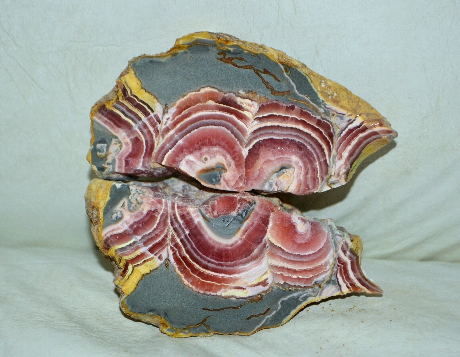 Pair Rhodochrosite banded slab * from Argentina * deep red *