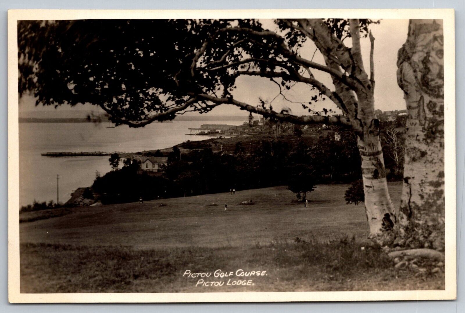 View of Golf Course at Pictou Lodge, Novia Scotia Real Photo Postcard RPPC