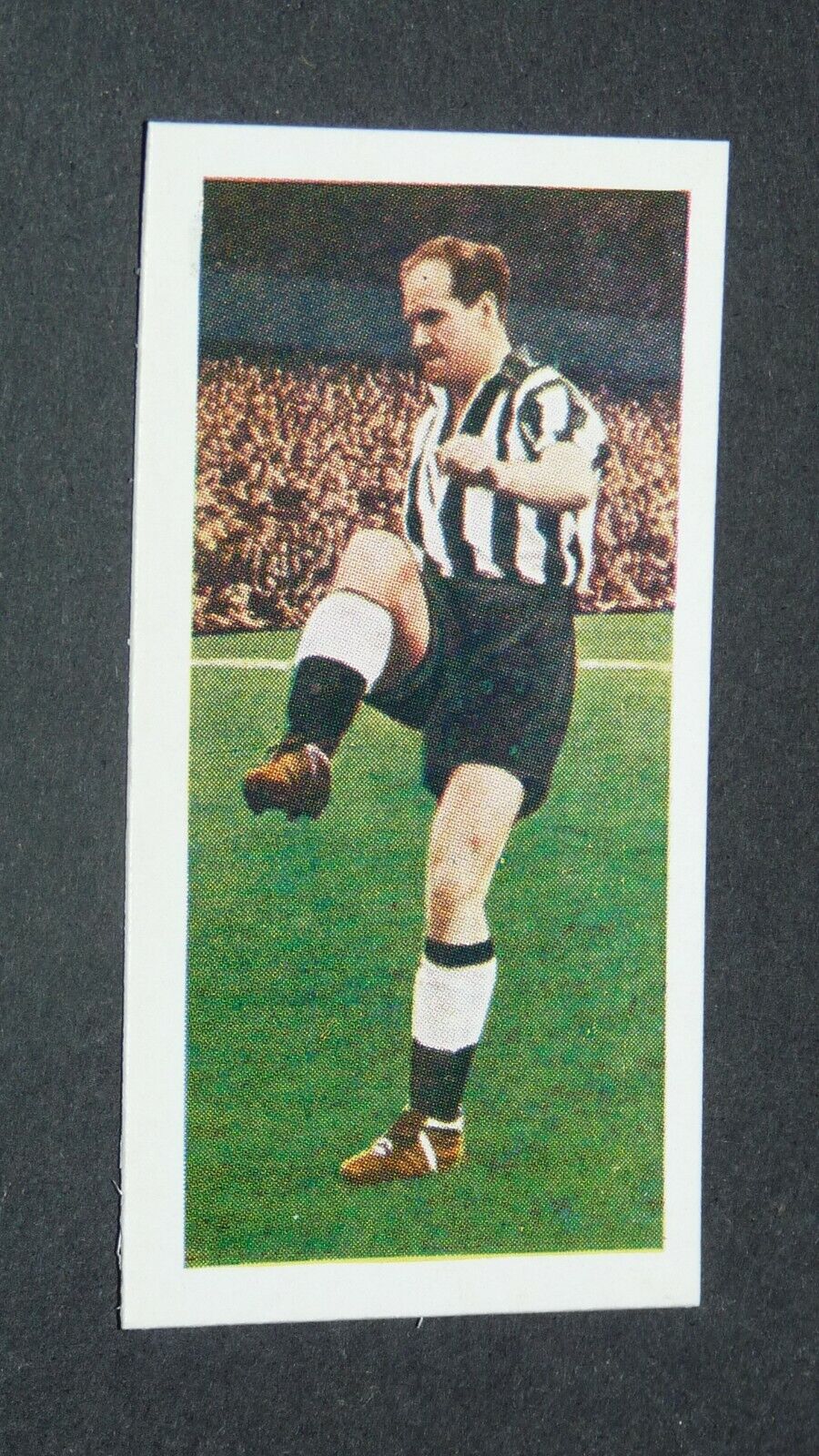 1957 FOOTBALL CADET SWEETS CARD #21 JIMMY SCOULAR NEWCASTLE UTD MAGPIES SCOTLAND