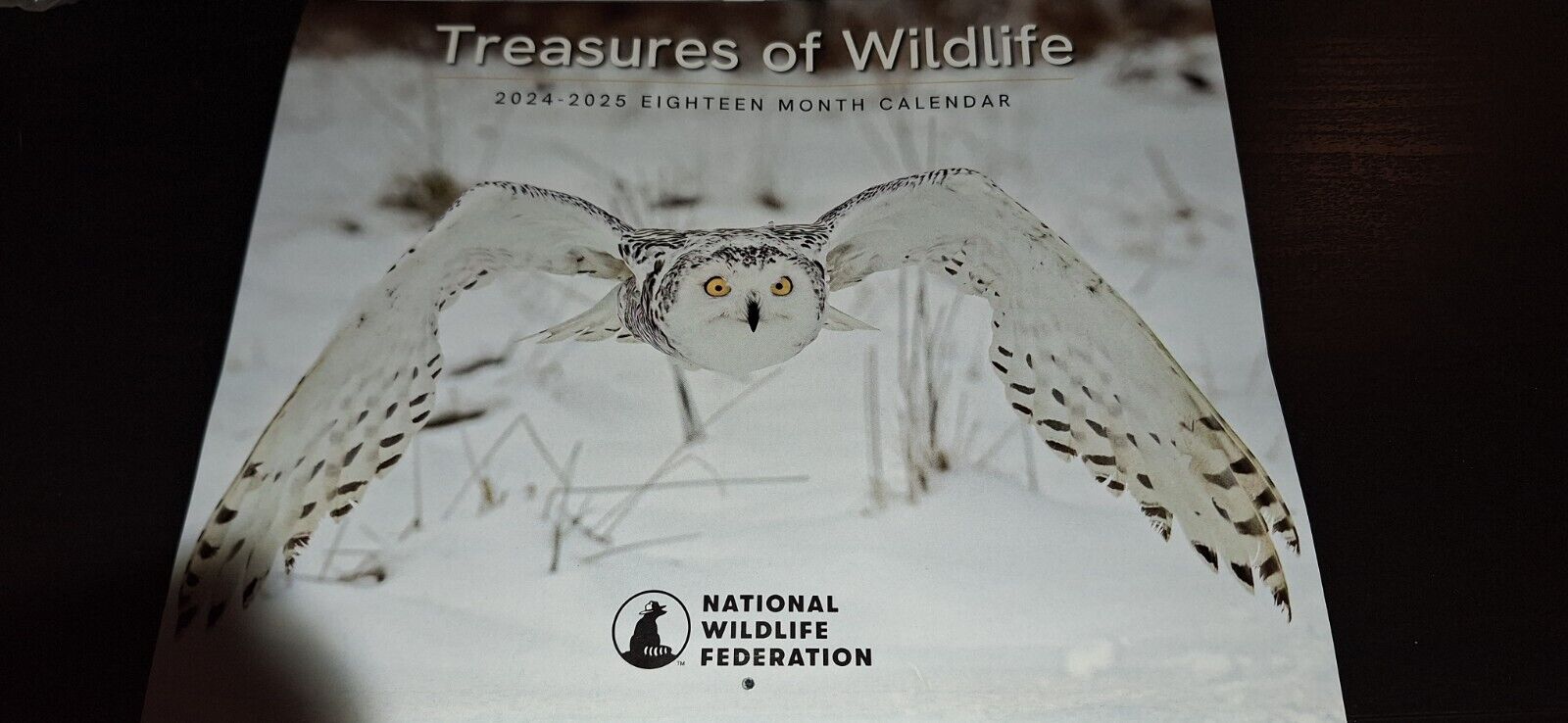 Treasures Of Wildlife CALENDAR 2024-2025 -National Wildlife Federation - NEW OWL