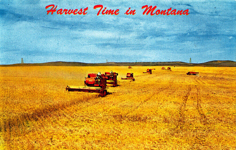 MT Montana: Farming & Ranching - Eight Un-posted Chromes