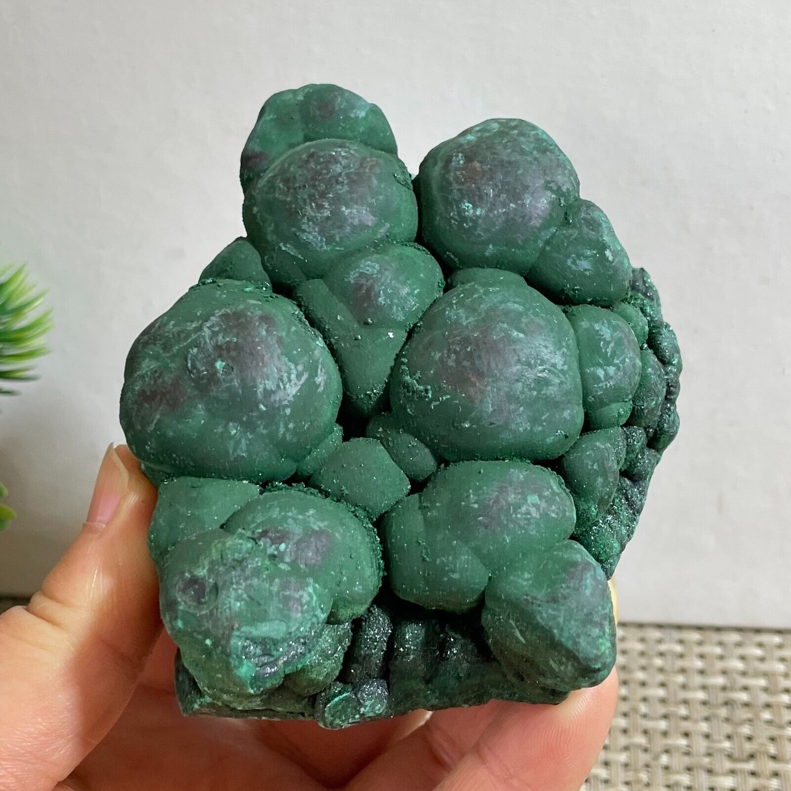 490g Natural glossy Malachite transparent cluster rough mineral sample h20
