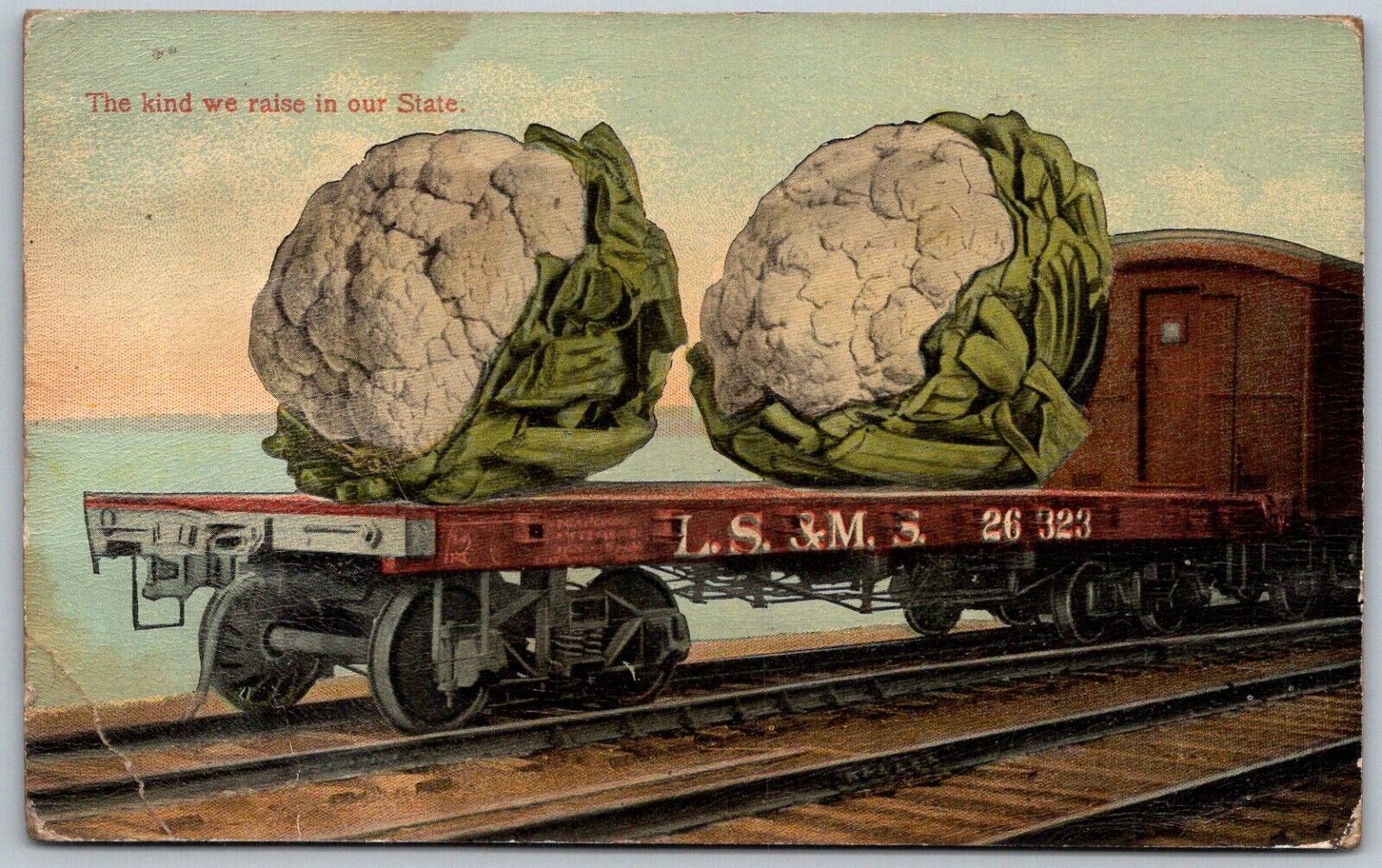 Giant Exaggerated Cauliflower On Train Car c1910 Postcard The Kind We Raise
