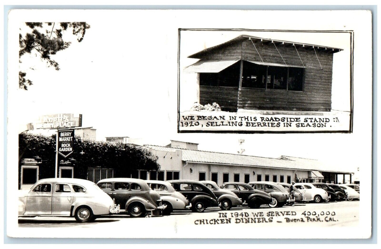 c1940s Berry Market Store Selling Berries Cars Buena Park CA RPPC Photo Postcard