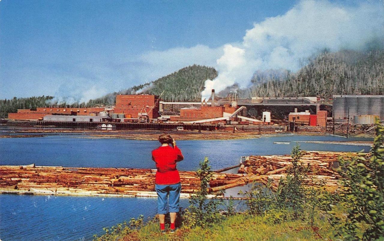 Ketchikan, Alaska PULP MILLS Logging Lumber Mill c1950s Chrome Vintage Postcard