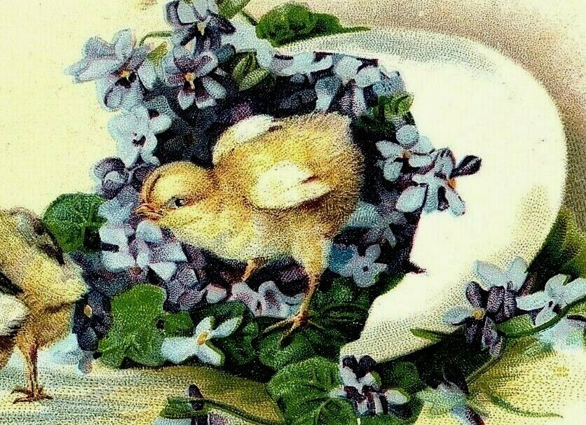1880\'s-90\'s Victorian Easter Card Baby Chicks Hatching Egg Adorable 7E