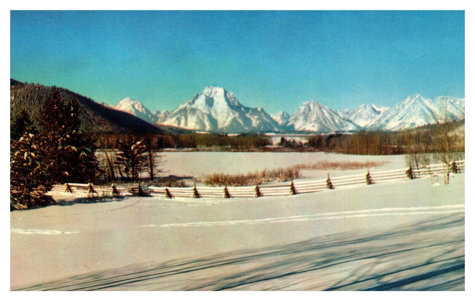 Jackson Hole WY Wyoming Mt. Moran Winter Scene Chrome Postcard