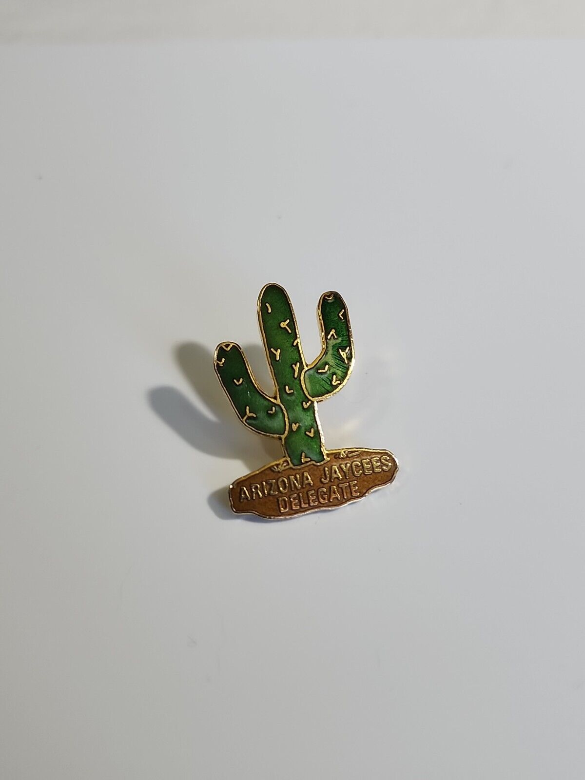 Arizona Jaycees Delegate Lapel Pin Cactus