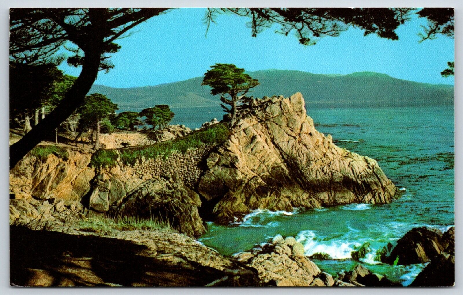 Postcard Midway Point, Overlooking Crescent-Shaped Carmel Bay, Cypress Trees, CA