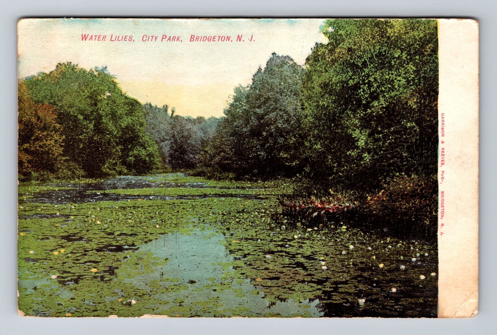 Bridgeton NJ-New Jersey, Water Lilies, City Park, Vintage c1907 Postcard
