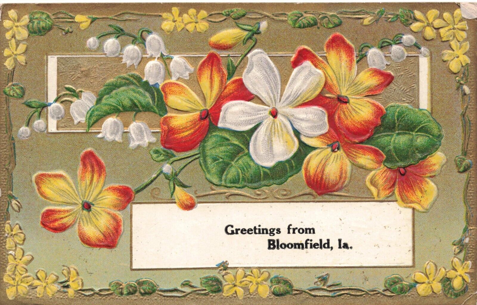 Greetings from Bloomfield Iowa Davis County Embossed & Gold Accents Postcard