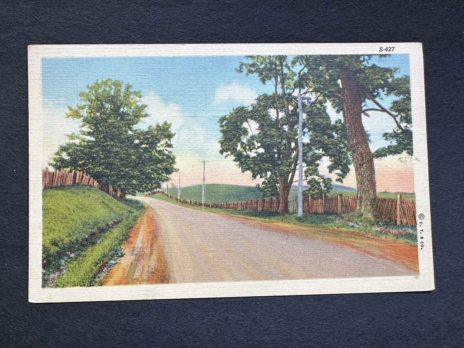 Postcard Beautiful Dirt Country Road Scene Trees Fence 33 Curteich  Chicago R33