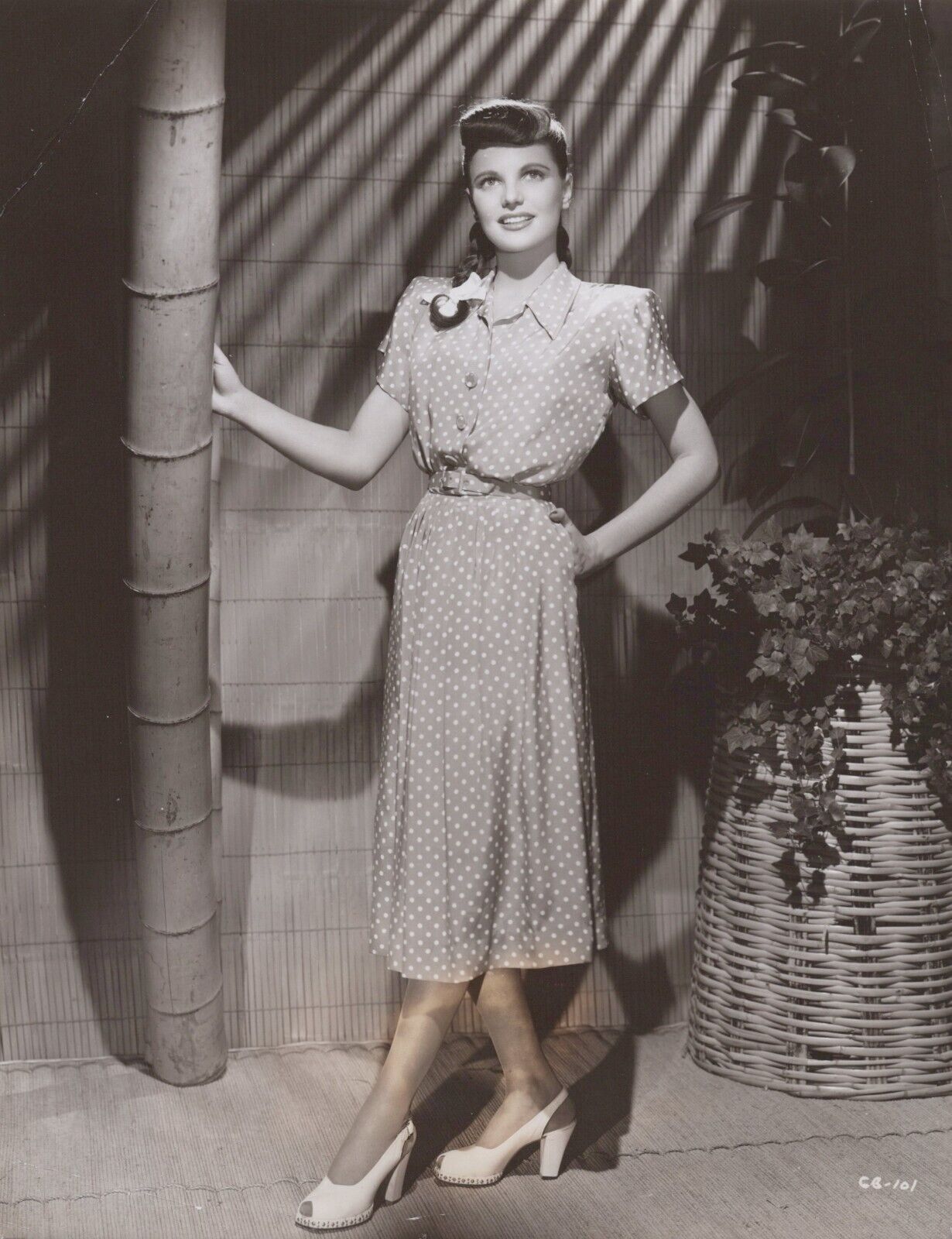Geraldine Brooks (1940s) 🎬⭐ Hollywood beauty - Exotic Stylish Pose Photo K 162
