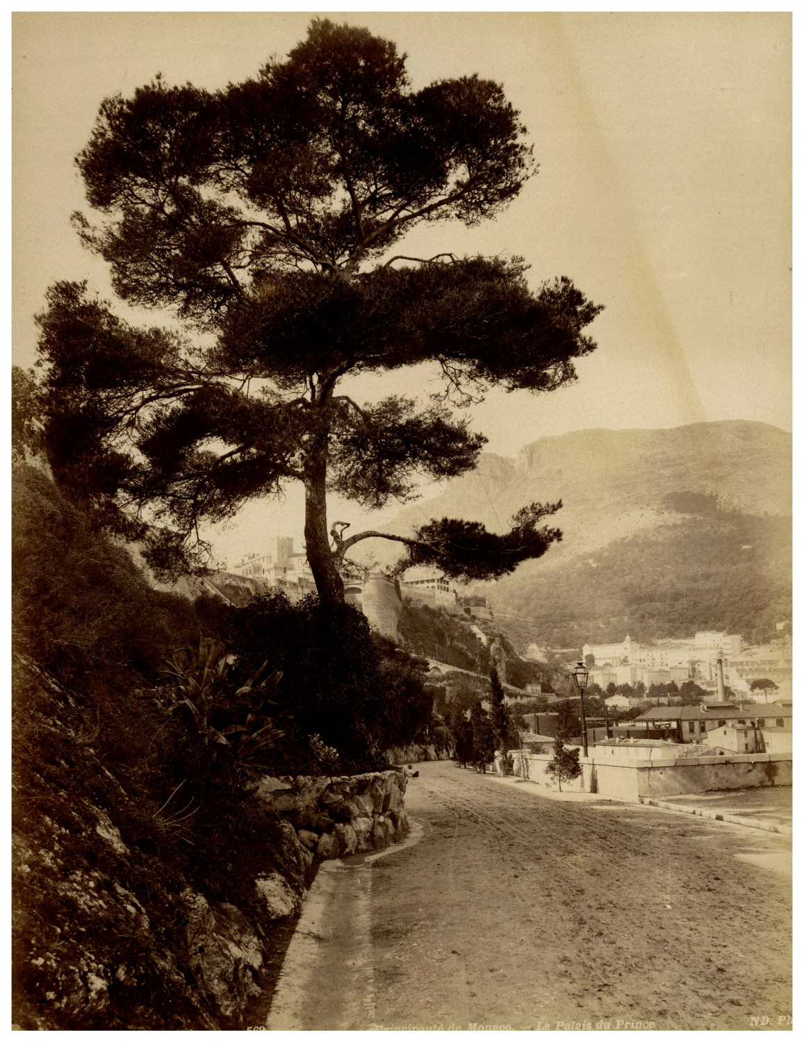 Monaco, the Prince\'s Palace, N.D. Vintage print, albumin print 27x21 print  