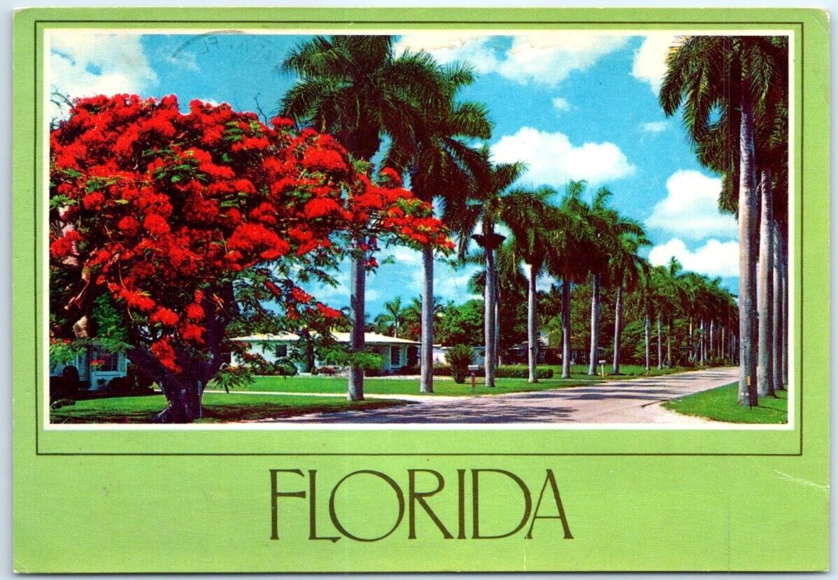 Postcard - Stately Royal Palms, line a residential avenue in sunny Florida