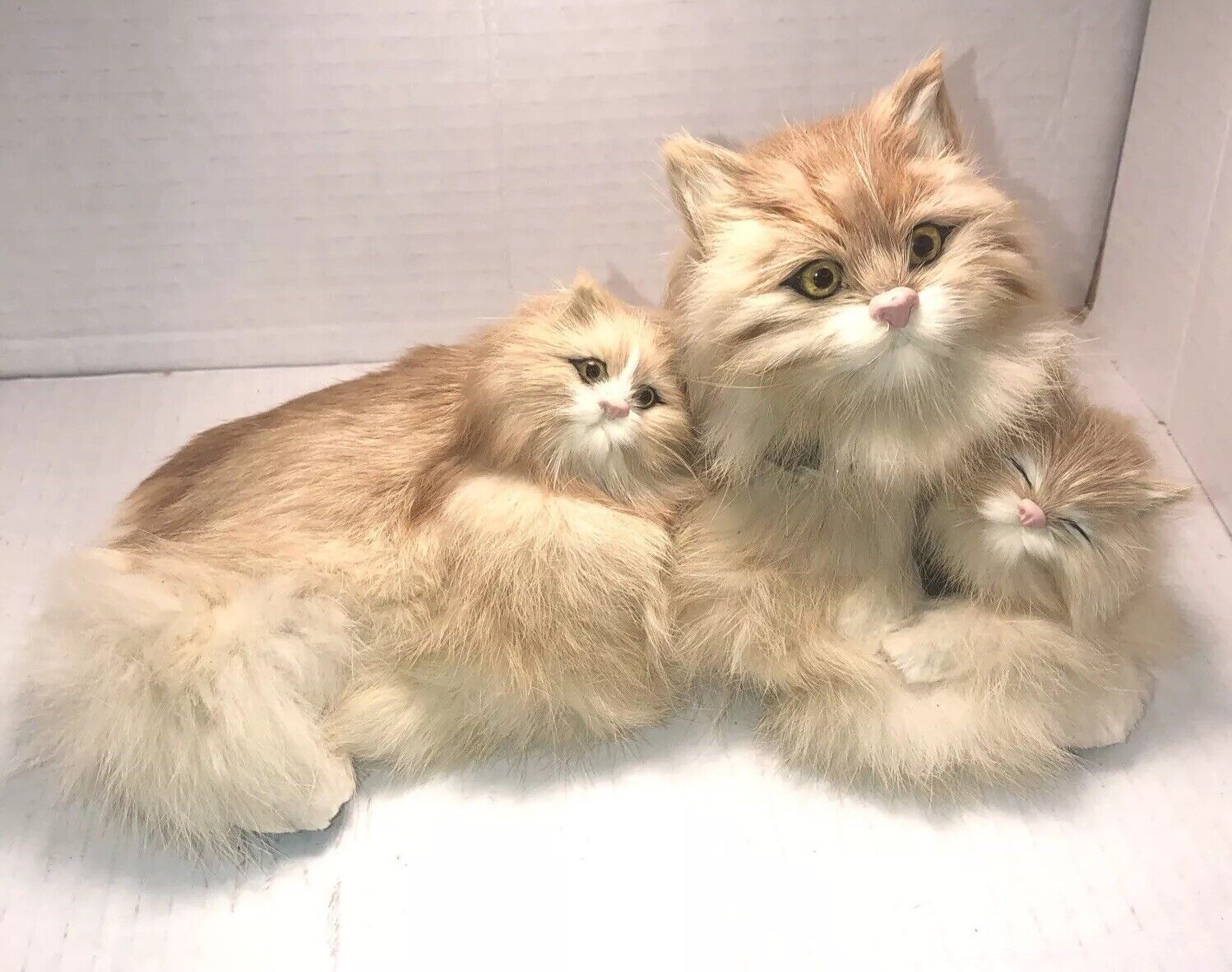 Realistic Furry Persian Cats , mother and kitten, head movement.