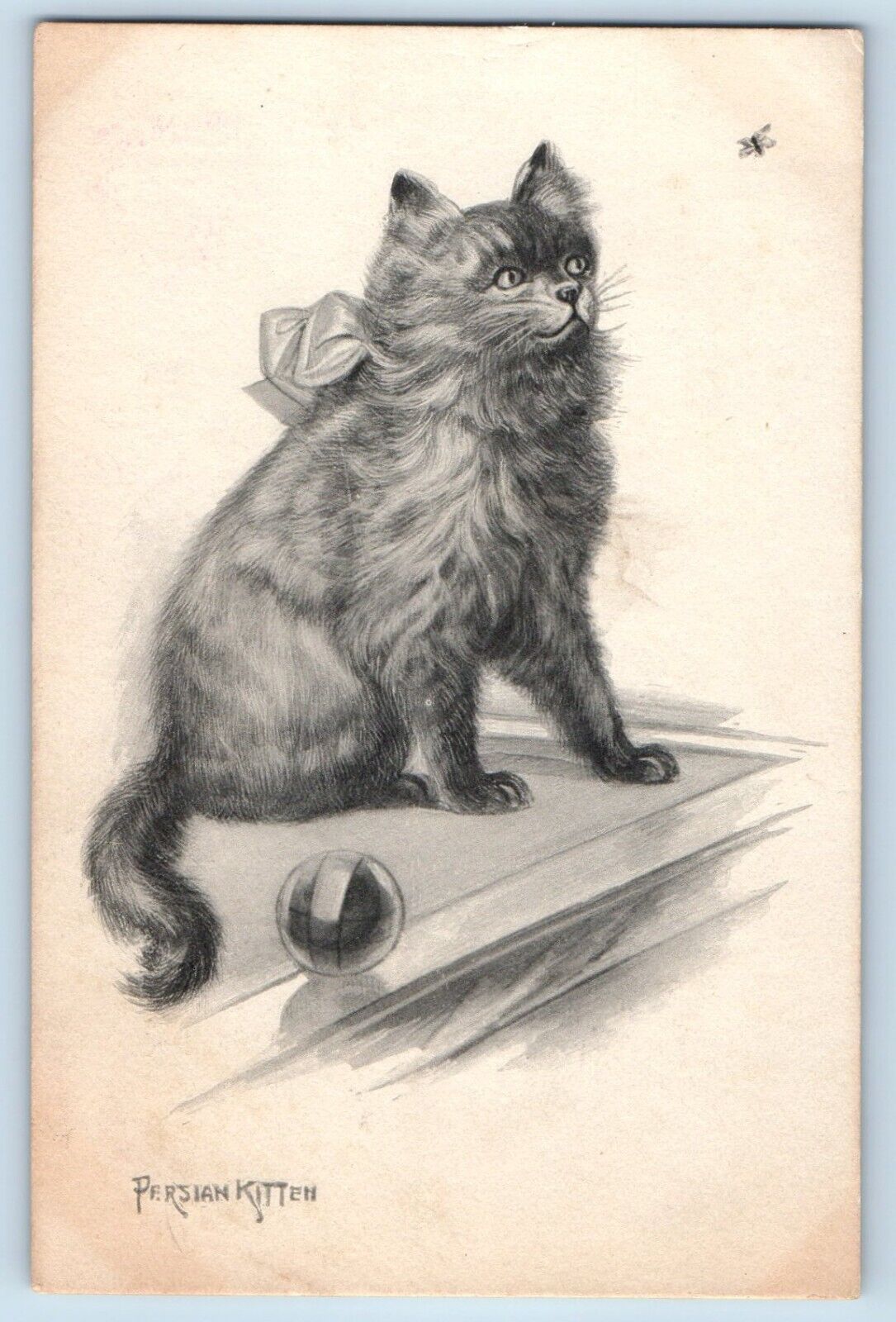 Animal Postcard Persian Kitten Cat With Ball Fly c1910\'s Posted Antique