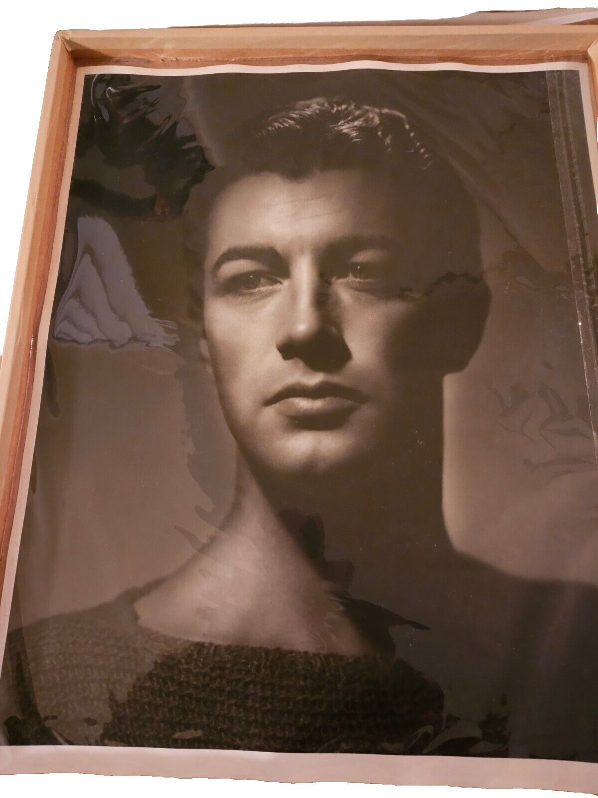 Robert Taylor Portrait Signed By George Hurrell Authenticate By George Hurrell 