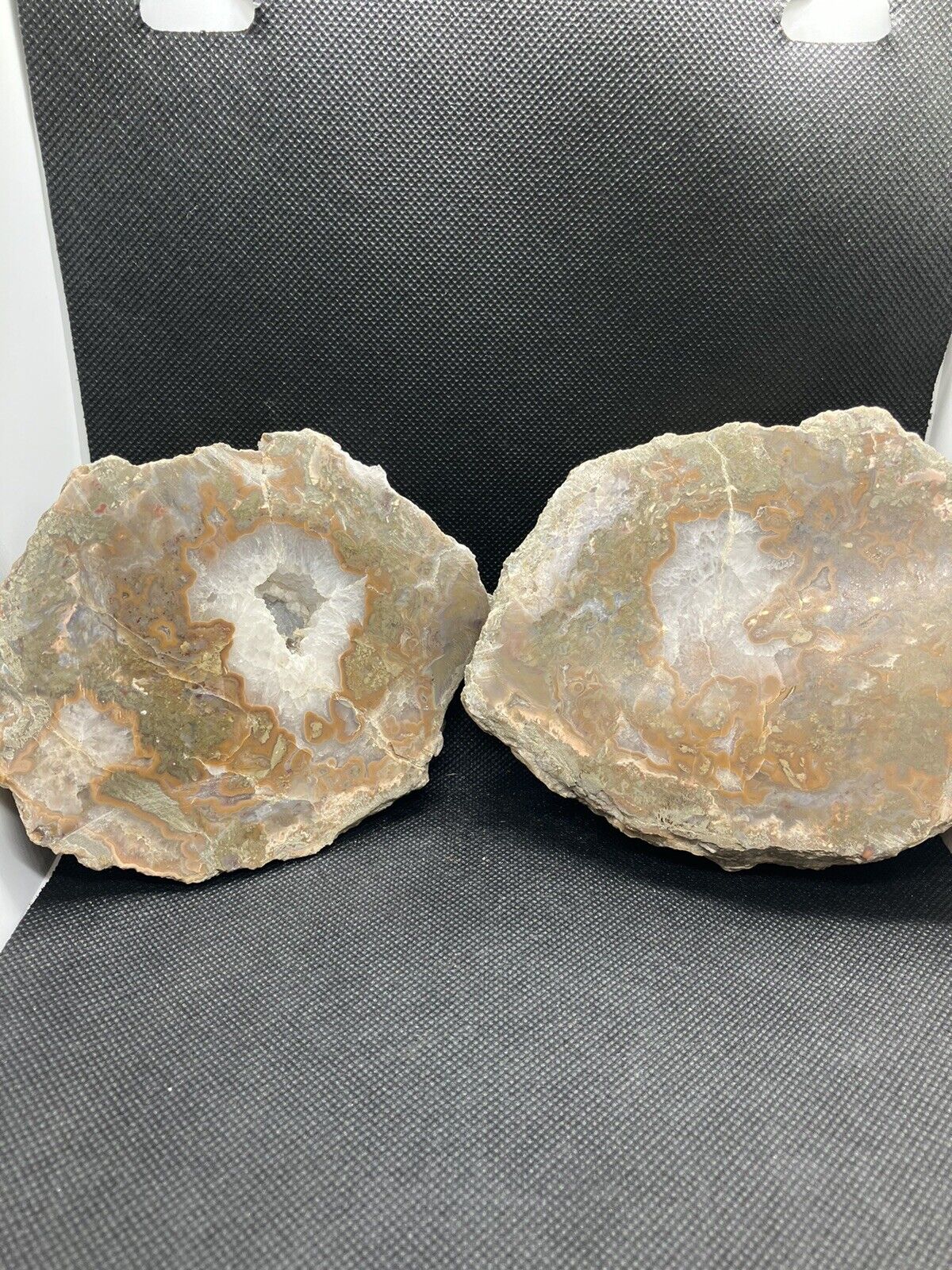 Large   KENTUCKY Agate Display  Cut And Polished