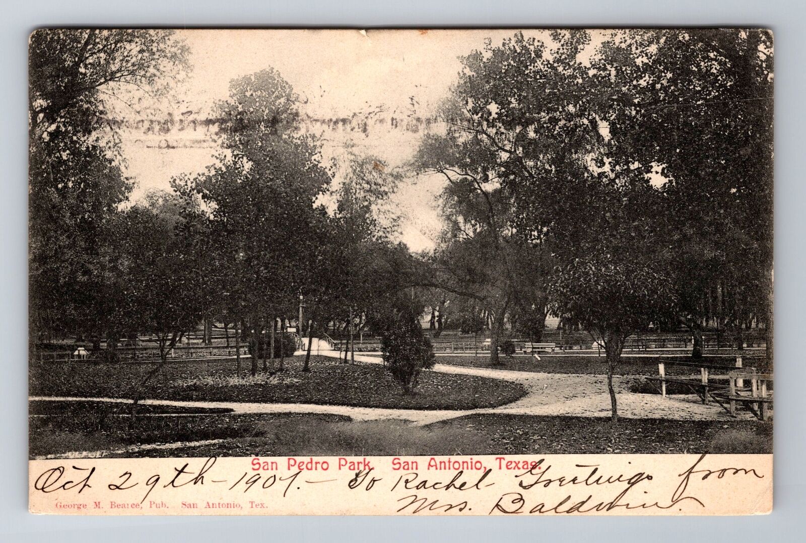 San Antonio TX-Texas, San Pedro Park, c1907 Antique Vintage Souvenir Postcard