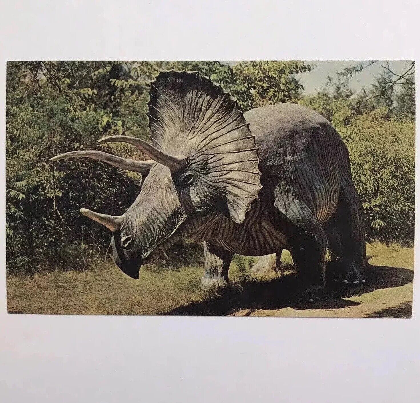 Postcard Triceratops Vtg Irish Hills MI Prehistoric Forest Theme Park Dinosaur